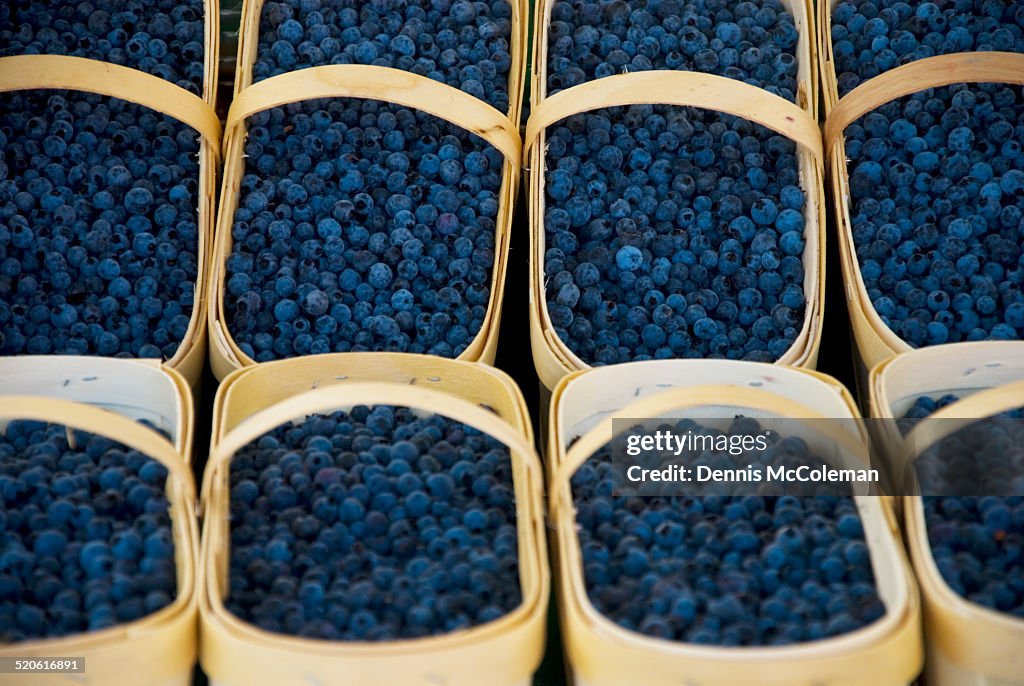 Farmer's Market