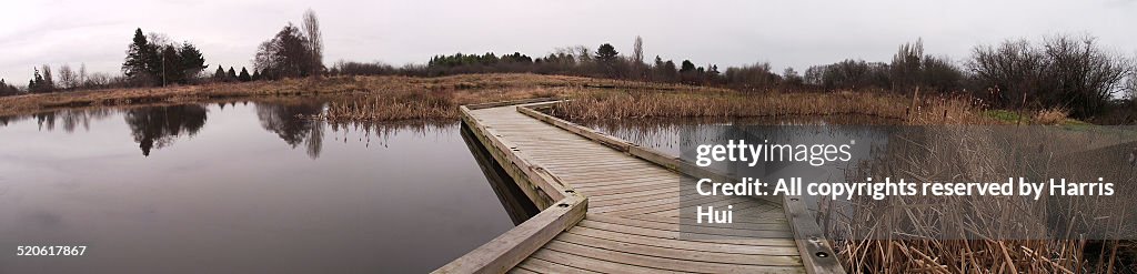 Panoramic Terra Nova Park