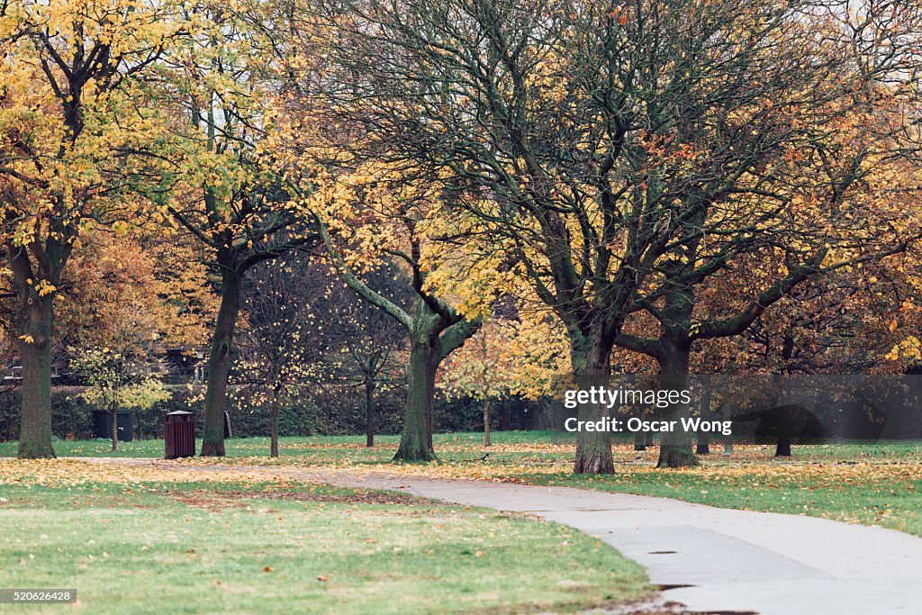 A park in Oxford