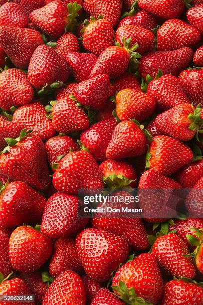 strawberries - vitamina c foto e immagini stock