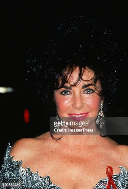 Elizabeth Taylor attends the 20th Annual Fifi Awards presented by the Fragrance Foundation at Tavern on the Green on June 3, 1992 in New York City.