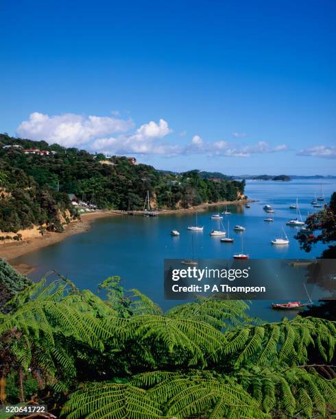 view of bay of islands - northland new zealand stock pictures, royalty-free photos & images