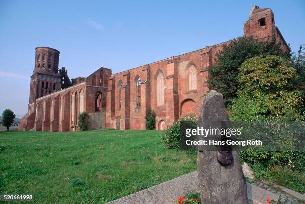 ruins of 14th century cathedral, kaliningrad - kaliningrad oblast stock-fotos und bilder