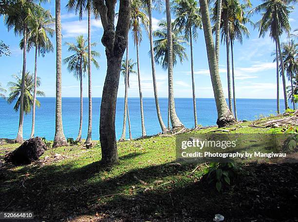 sabang - banda aceh stock pictures, royalty-free photos & images