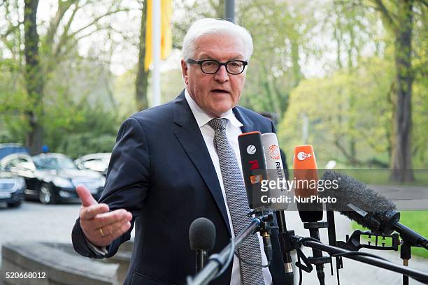 German Foreign Minister Frank-Walter Steinmeier attends a press statement before a OSCE Troika meeting with Austrian Foreign Minister Sebastian Kurz,...