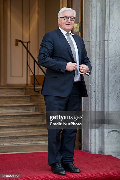 German Foreign Minister Frank-Walter Steinmeier awaits the arrive of Serbian Foreign Minister Ivica Dacic for a OSCE Troika meeting at Villa Borsig...