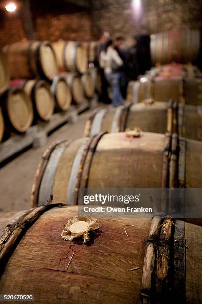 wine tasting in the cellars of philippe pacalet, beaune-burgundy - beaune france stock pictures, royalty-free photos & images