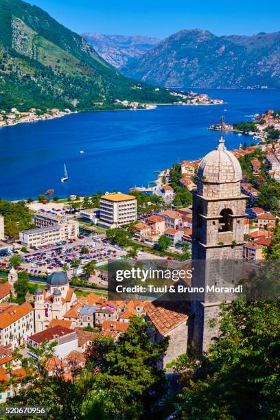 montenegro, kotor bay and city - kotor stock-fotos und bilder