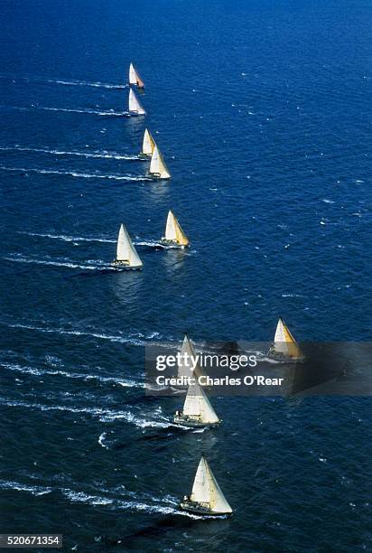 sailboat race - sailing competition stock pictures, royalty-free photos & images