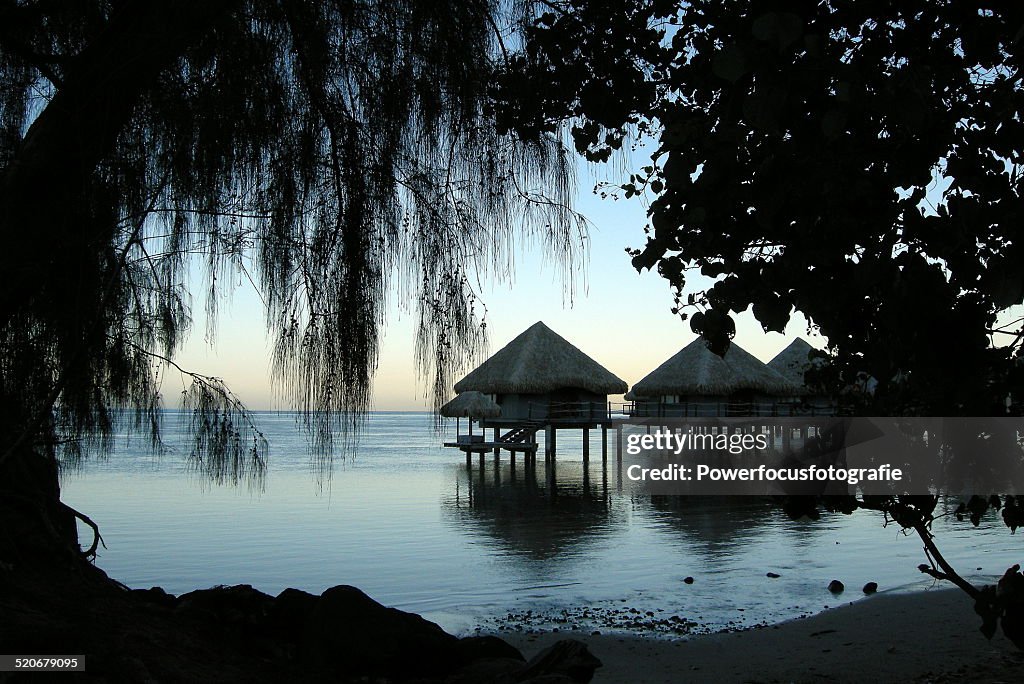 Tahiti morning