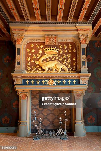 france, loire valley, chateau de blois - castle france stock-fotos und bilder