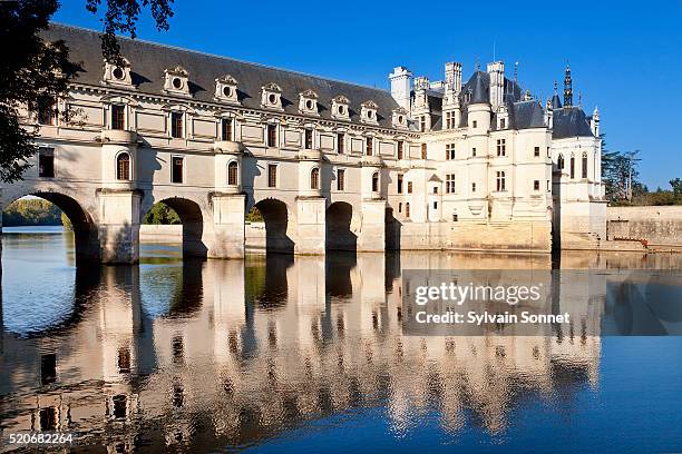 france, loire valley, chateau de chenonceau - château de chenonceau stock pictures, royalty-free photos & images