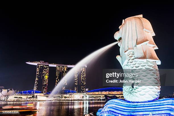 merlion statue, singapore - merlion park stock pictures, royalty-free photos & images