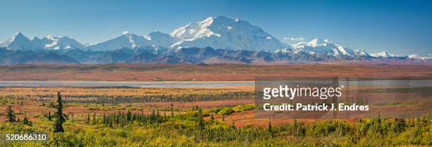 backpacker and mt mckinley - denali national park stock pictures, royalty-free photos & images