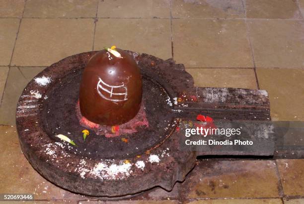 shivalinga pindi kapardikeshwar temple otur pune maharashtra india asia - shiva stock-fotos und bilder