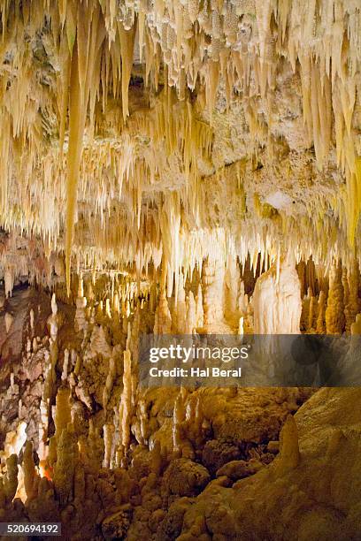 white grotto of castellana - tropfsteinhöhle stalaktiten stock-fotos und bilder