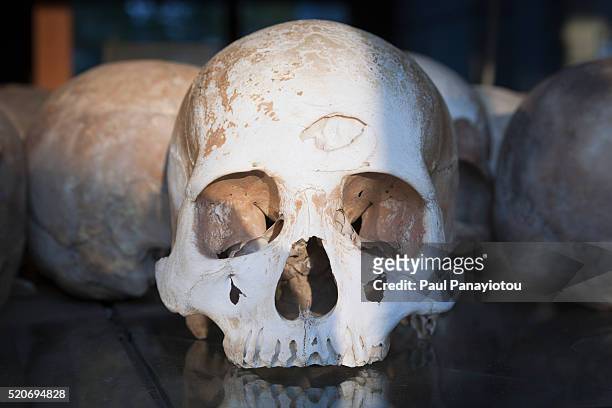 skulls of victims of the khmer rouge preserved at a memorial stupa in choeung ek, cambodia - cambodia genocide stock pictures, royalty-free photos & images