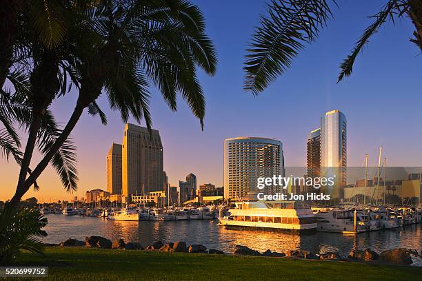 city skyline from embarcadero marina park. - san diego stock-fotos und bilder