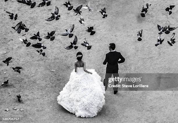 234 Pigeons Wedding Stock Photos, High-Res Pictures, and Images - Getty ...