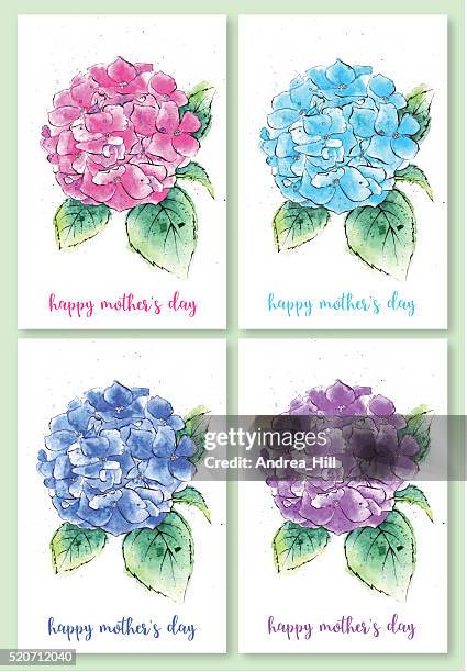 ilustrações de stock, clip art, desenhos animados e ícones de conjunto de ilustrações de dia da mãe, pintura em aquarela de flores hidrângea - mothers day text art