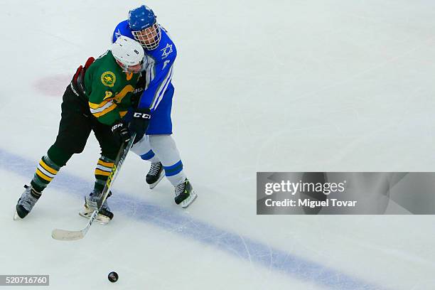 Robert Malloy of Australia fights for the puck with Elie Klein of Israel during the match between Australia and Israel as part of the 2016 IIHF Ice...