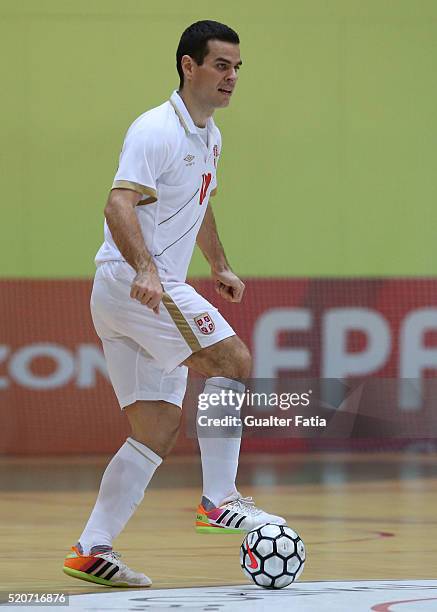 Peter Rajcevic 109 Pavilhao Multiusos De Odivelas Photos & High Res Pictures - Getty ...