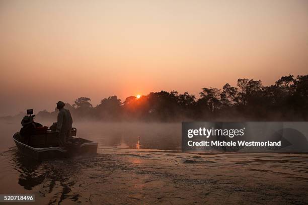 kafue river boat tour - zambia foto e immagini stock