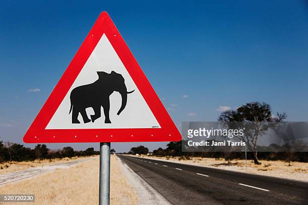 elephant crossing road sign - animal crossing sign photos et images de collection