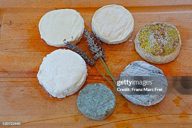chevres of various ages, ferme de cantecabre, mazan, provence - ziegenmilch stock-fotos und bilder