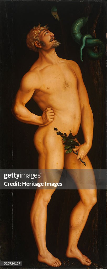 Adam. Artist: Baldung, Hans (1484-1545)