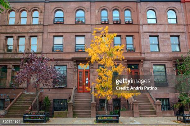 harlem row houses - harlem new york stock pictures, royalty-free photos & images