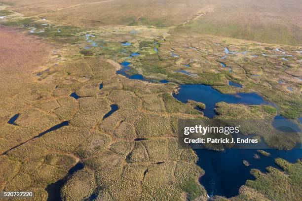 aerial of polygons on the tundra - permafrost stock-fotos und bilder