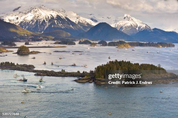 aerial of herring fishery, sitka - couloir maritime intérieur photos et images de collection