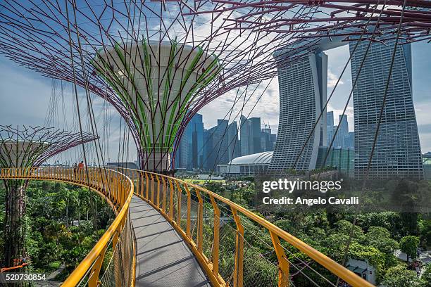 gardens by the bay, singapore - gardens by the bay stock-fotos und bilder