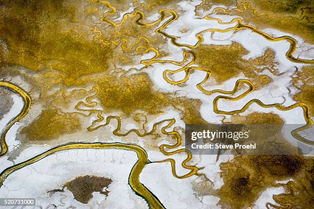 salt marsh - tidal marsh stock pictures, royalty-free photos & images