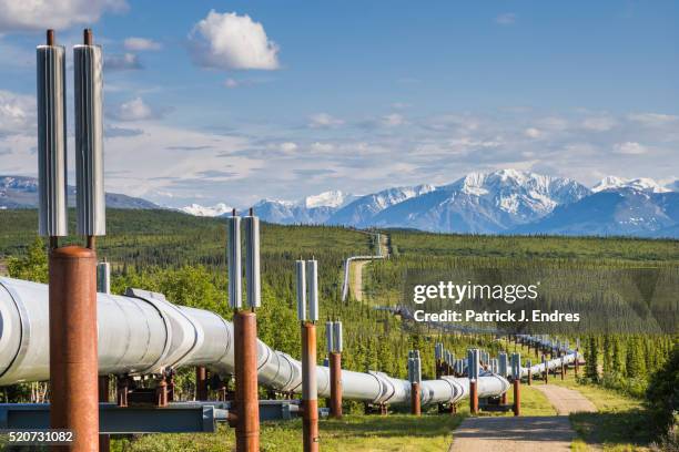 alaska oil pipeline, alaska range - trans alaskan pipeline stock pictures, royalty-free photos & images