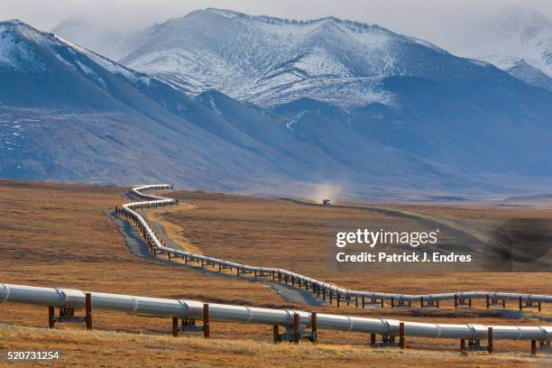 trans alaska oil pipeline - pipeline stock pictures, royalty-free photos & images