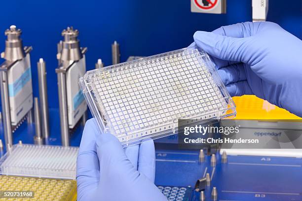 Samples And Sampling Techniques Photos and Premium High Res Pictures ...