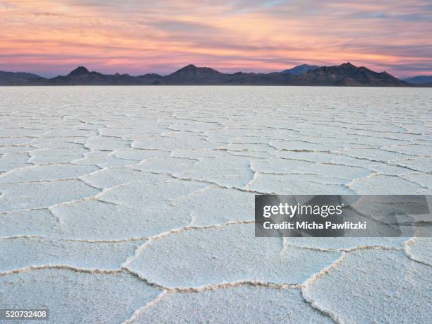 dawn over salt pans at bonneville salt flats state park, utah, usa - lago salgado imagens e fotografias de stock