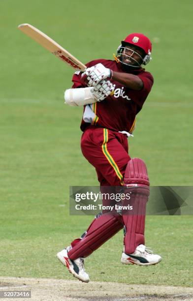 Brian Rana 76 Cricket Frog Stock Photos, High-Res Pictures, and Images - Getty Images