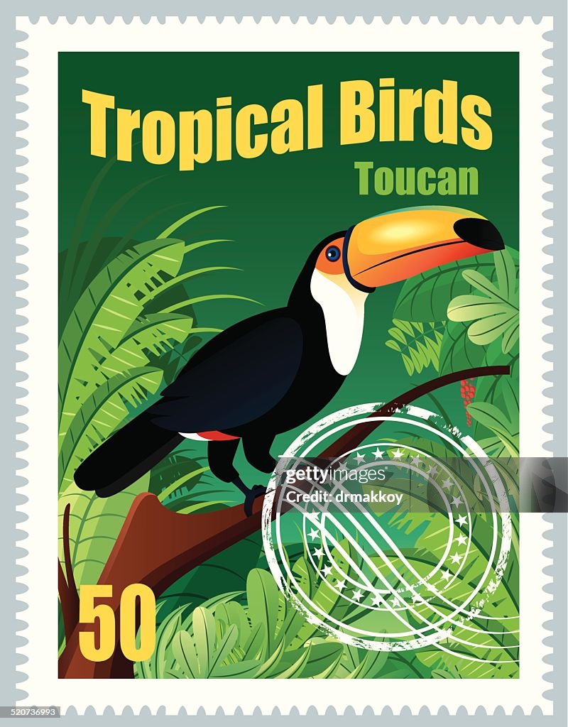 Tropical Birds