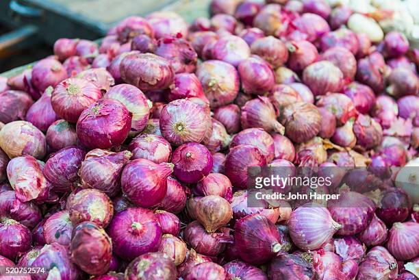 onions for sale in market - onion foto e immagini stock