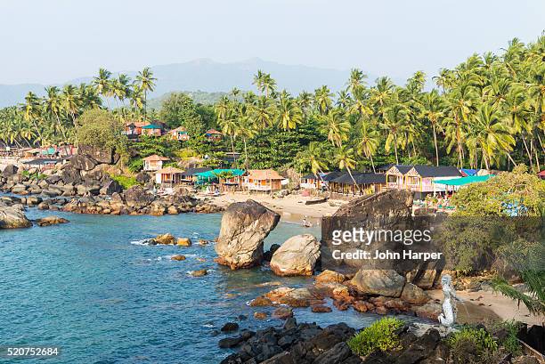 beach in goa, india - humpi stock pictures, royalty-free photos & images