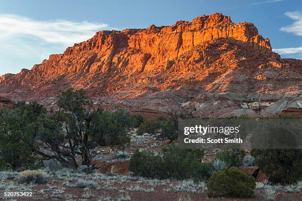 capitol reef national park, utah. usa - parque nacional de capitol reef - fotografias e filmes do acervo