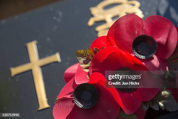 close-up of poppies on a headstone - myanmar war stock pictures, royalty-free photos & images