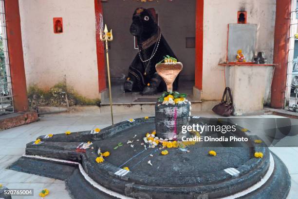 lord shiva temple and shivling at, kolhapur, maharashtra, india - shiva foto e immagini stock