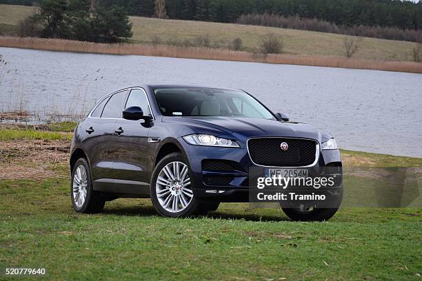 jaguar f-pace on the grass - jaguar car stock pictures, royalty-free photos & images
