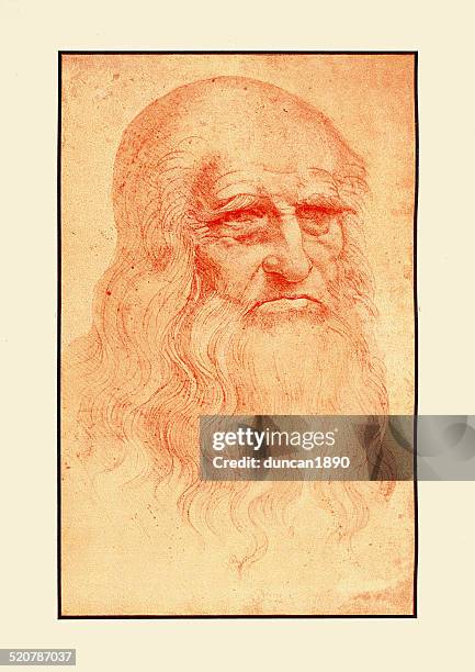 self portrait of leonardo da vinci - self portrait stock illustrations