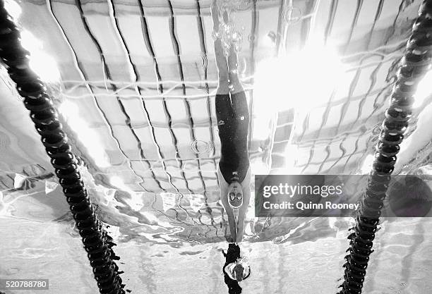 Cate Campbell of Australia dives in to start the Women's 50 Metre Freestyle during day seven of the 2016 Australian Swimming Championships at the...