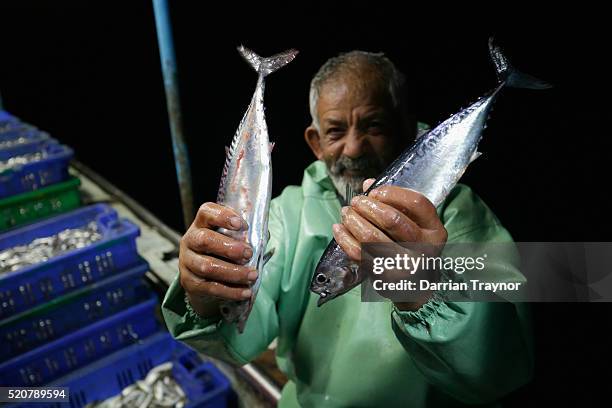 Year old Abu Issam, a fisherman of 50 years shows off his catch on April 10, 2016 in Gaza City, Gaza. In early April, Israel expanded the area...